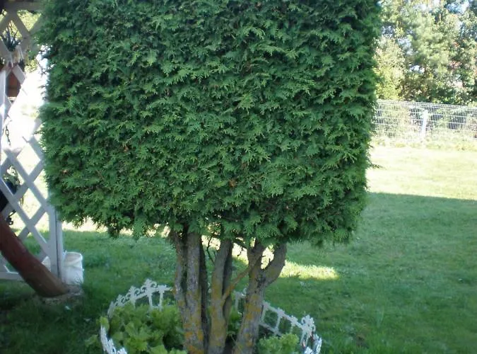 Отель Getliin Saku